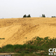 Illustration for article titled China tries to make artificial lake, fails and creates desert instead